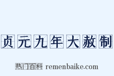 贞元九年大赦制是什么意思的图片